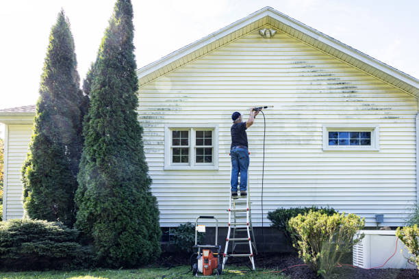 Best Building Exterior Washing  in Waldron, AR